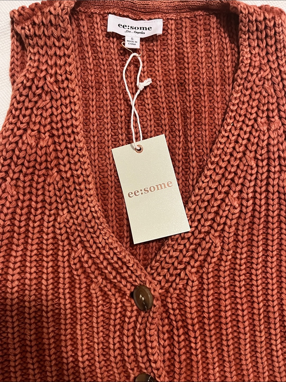 eesome Rust Ribbed V-Neck Button-Front Sweater Vest - Picture 2 of 4